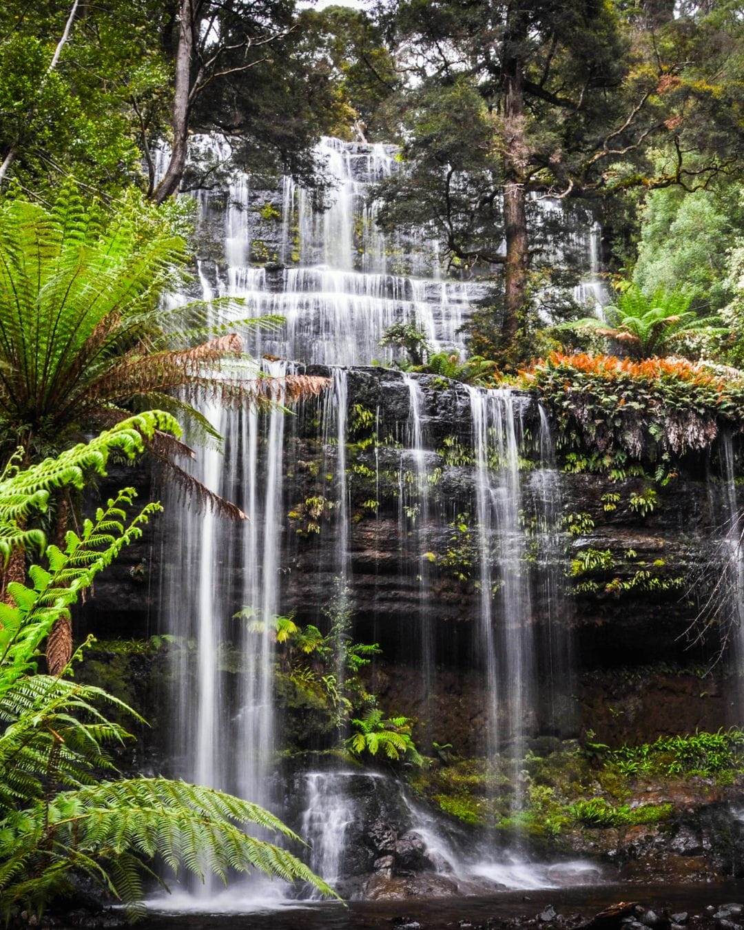 Voyage sur mesure en Nouvelle-Zélande -magnifique cascade — Evoréa Voyages