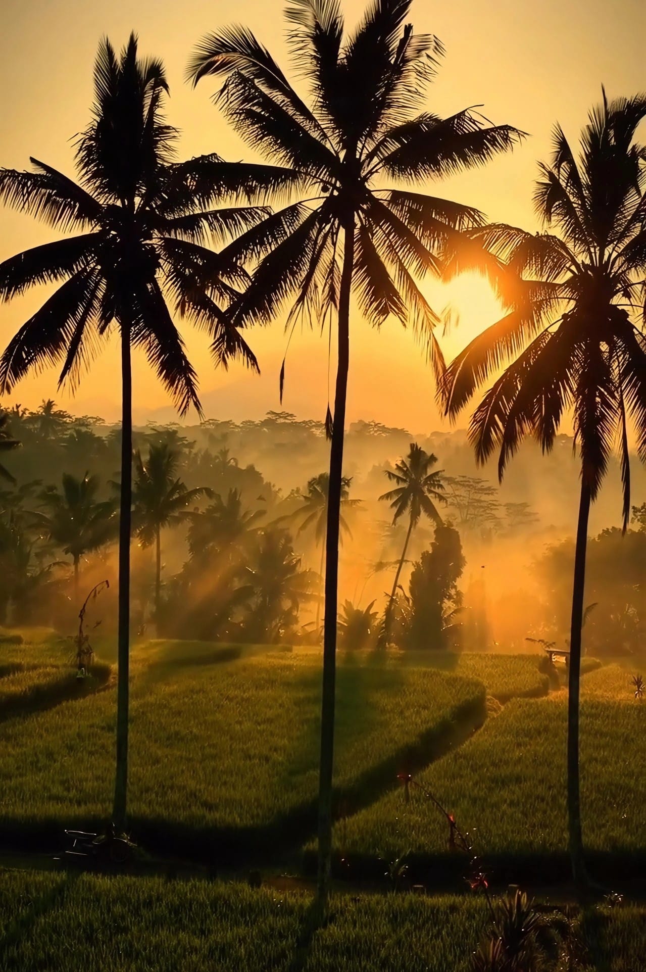 Magnifique coucher de soleil dans le nord de la Thaïlande - Quand partir en Thaïlande ? Le guide mois par mois pour choisir la bonne période