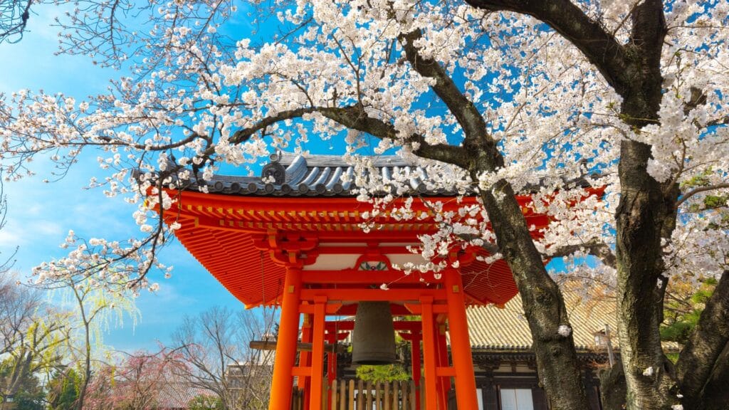 oyage sur mesure Japon village traditionnel montagne et cerisiers en fleur avec Evoréa Voyages
