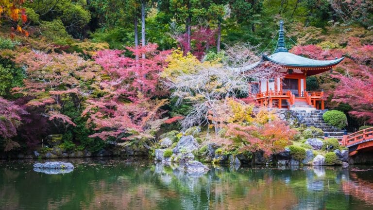 voyage sur mesure au Japon torii rouge automne - itinéraire authentique avec Aurélie - créatrice d'Evoréa Voyages